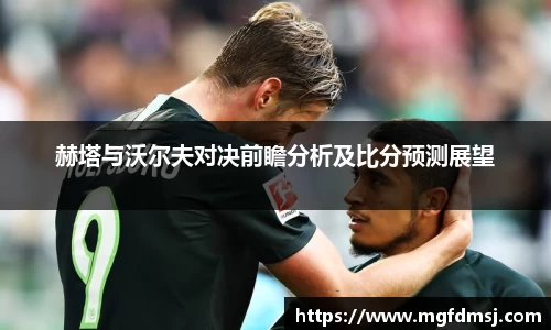 赫塔与沃尔夫对决前瞻分析及比分预测展望